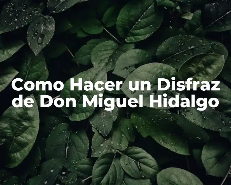 Como Hacer un Disfraz de Don Miguel Hidalgo