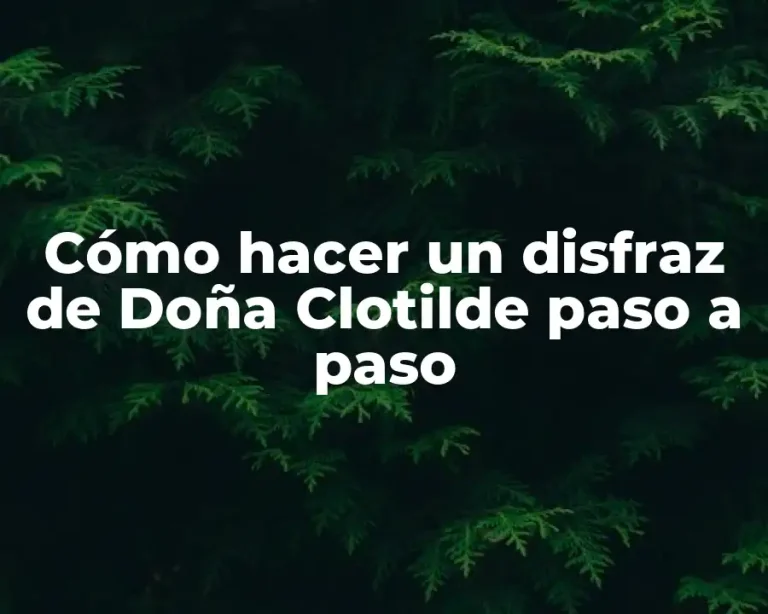 Cómo hacer un disfraz de Doña Clotilde paso a paso