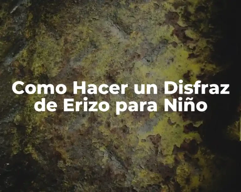 Como Hacer un Disfraz de Erizo para Niño