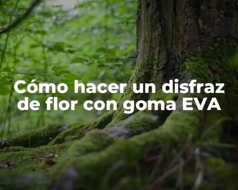 Cómo hacer un disfraz de flor con goma EVA