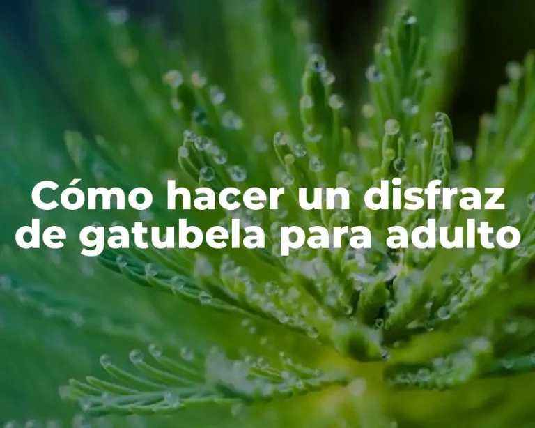 Cómo hacer un disfraz de gatubela para adulto