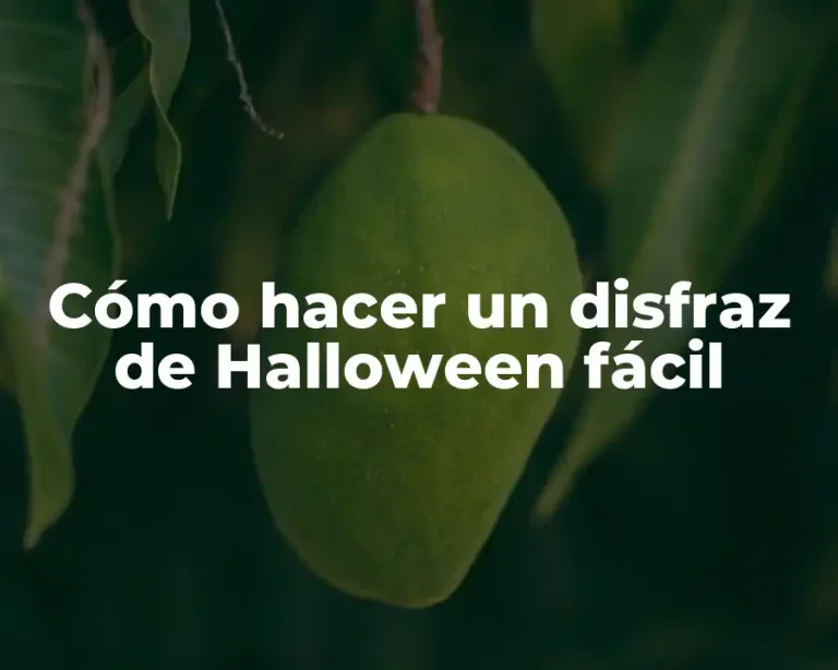 Cómo hacer un disfraz de Halloween fácil