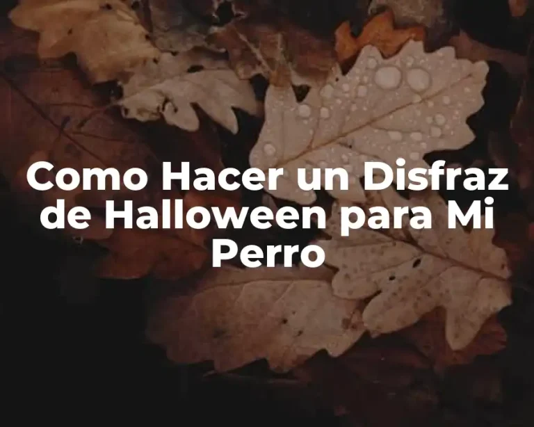 Como Hacer un Disfraz de Halloween para Mi Perro