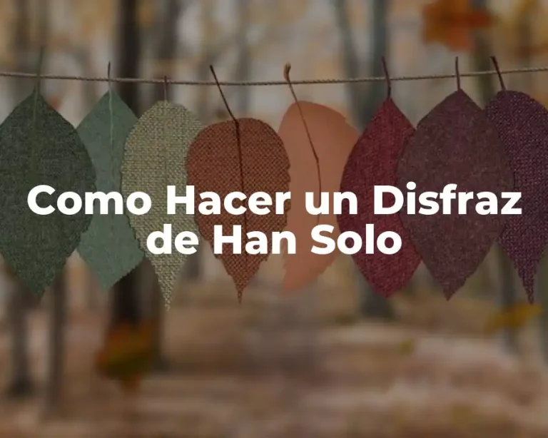 Como Hacer un Disfraz de Han Solo