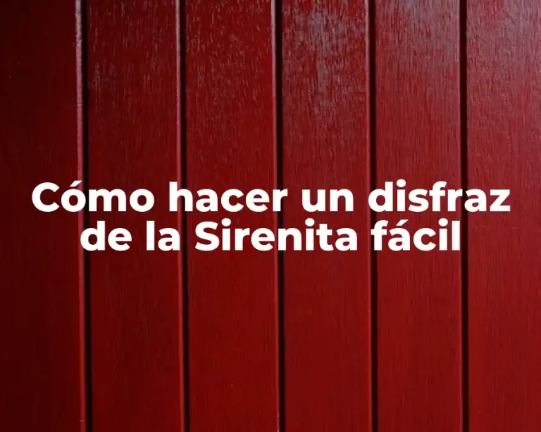 Cómo hacer un disfraz de la Sirenita fácil
