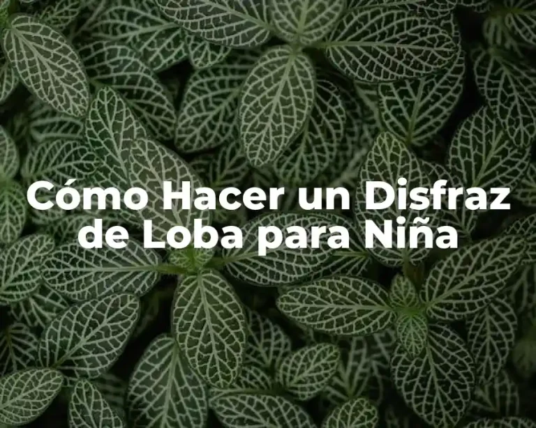 Cómo Hacer un Disfraz de Loba para Niña