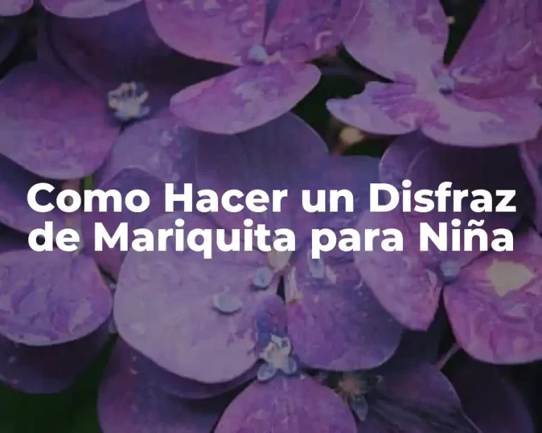 Como Hacer un Disfraz de Mariquita para Niña