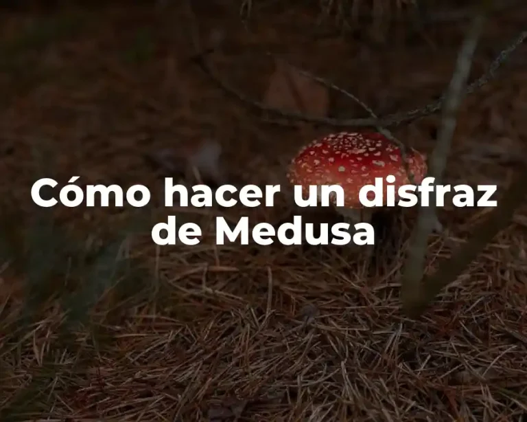 Cómo hacer un disfraz de Medusa