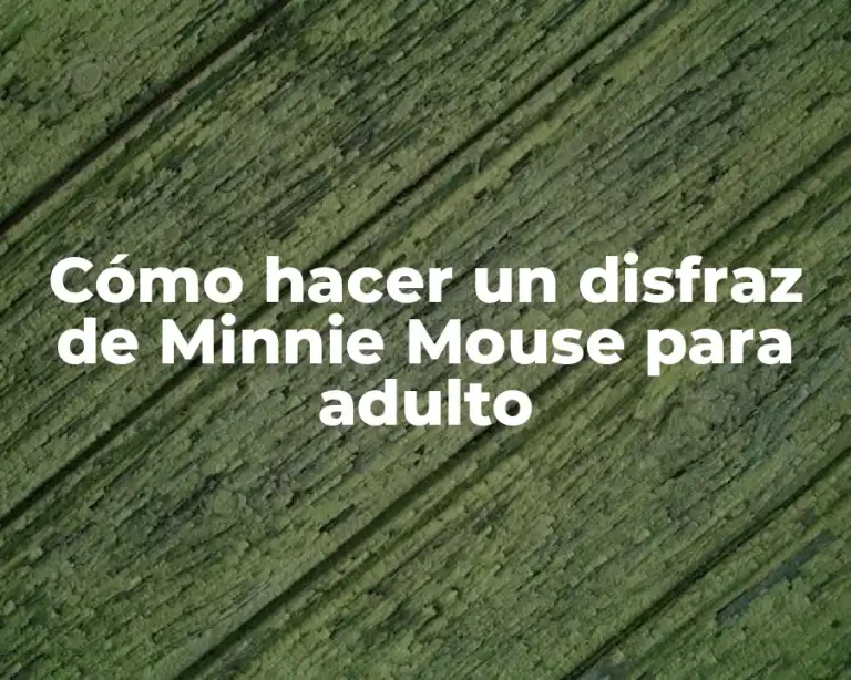 Cómo hacer un disfraz de Minnie Mouse para adulto