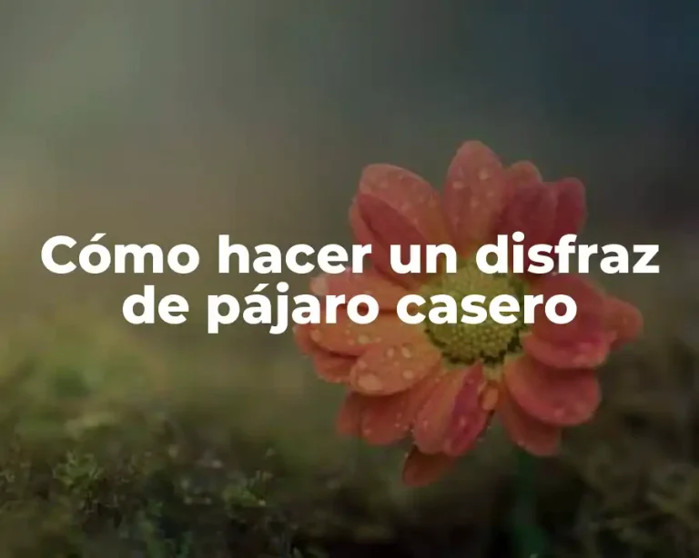 Cómo hacer un disfraz de pájaro casero