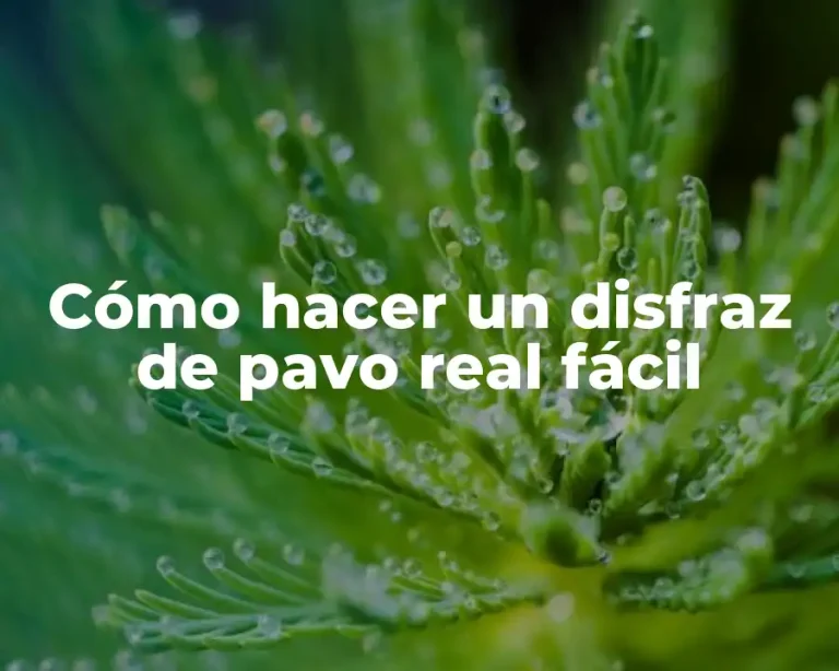 Cómo hacer un disfraz de pavo real fácil