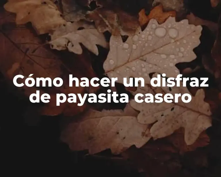 Cómo hacer un disfraz de payasita casero