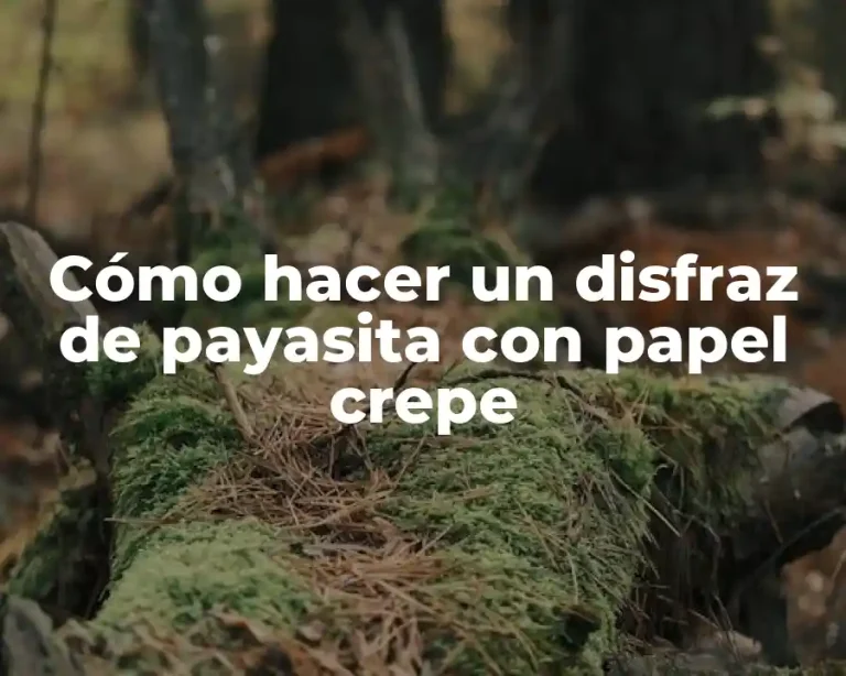 Cómo hacer un disfraz de payasita con papel crepe