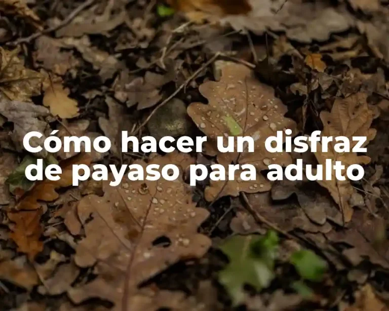 Cómo hacer un disfraz de payaso para adulto