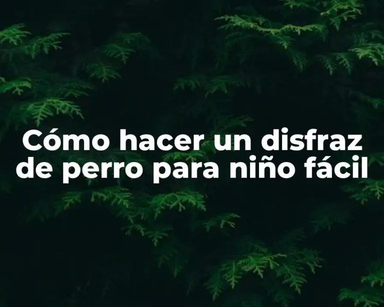 Cómo hacer un disfraz de perro para niño fácil