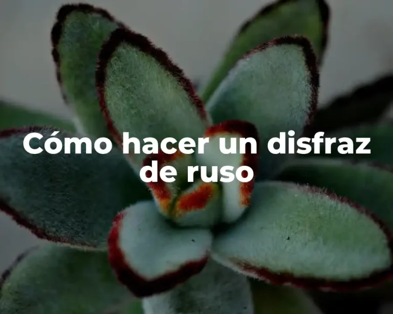 Cómo hacer un disfraz de ruso