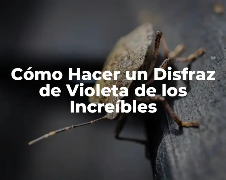 Cómo Hacer un Disfraz de Violeta de los Increíbles