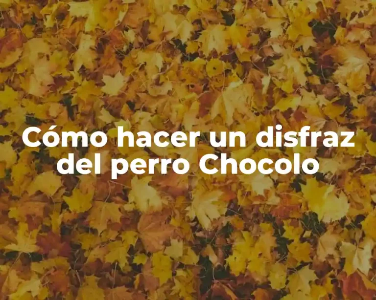 Cómo hacer un disfraz del perro Chocolo