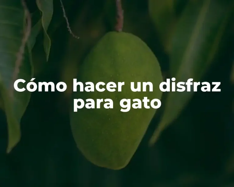 Cómo hacer un disfraz para gato