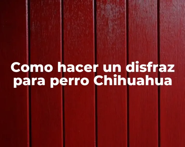 Como hacer un disfraz para perro Chihuahua