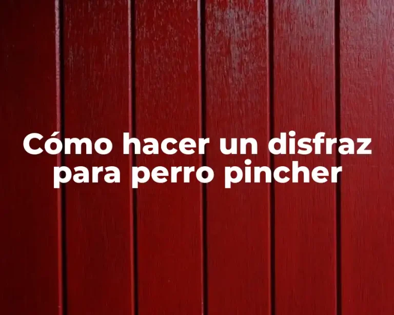 Cómo hacer un disfraz para perro pincher