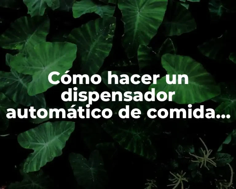 Cómo hacer un dispensador automático de comida para perros
