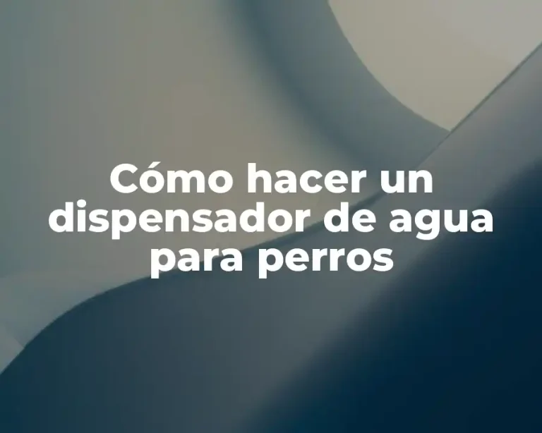 Cómo hacer un dispensador de agua para perros