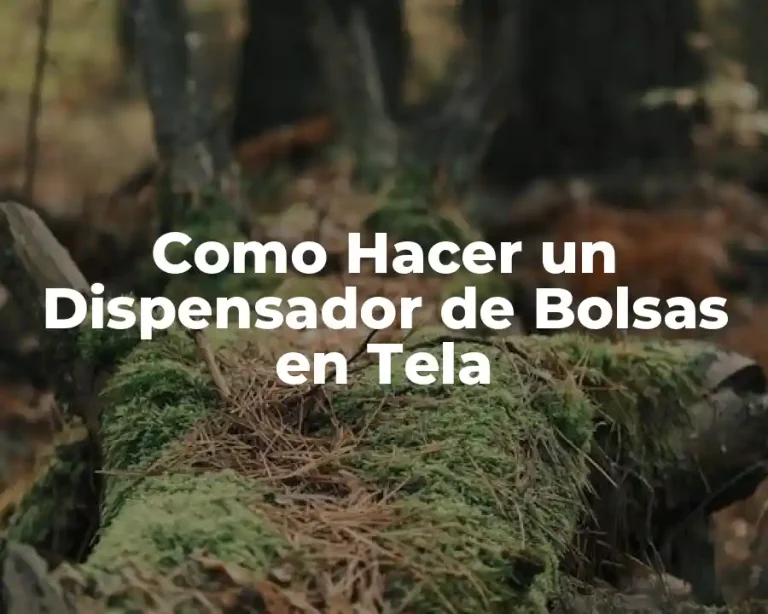 Como Hacer un Dispensador de Bolsas en Tela