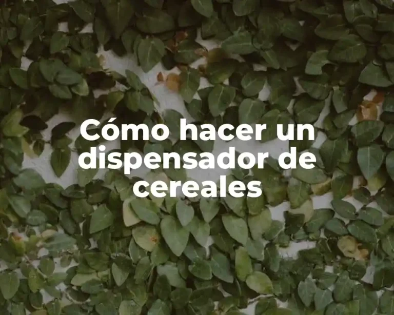 Cómo hacer un dispensador de cereales