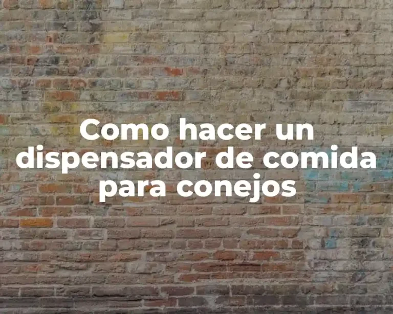 Como hacer un dispensador de comida para conejos