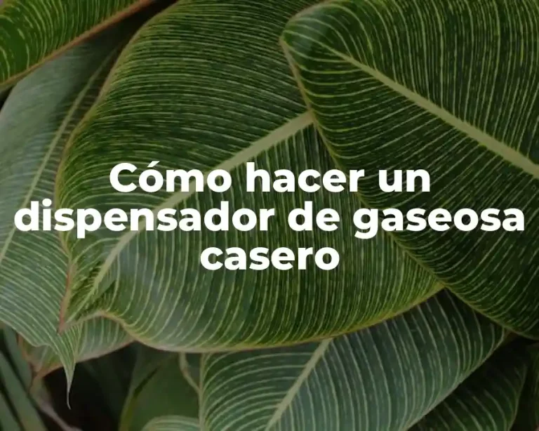 Cómo hacer un dispensador de gaseosa casero