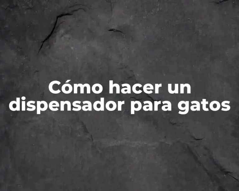 Cómo hacer un dispensador para gatos