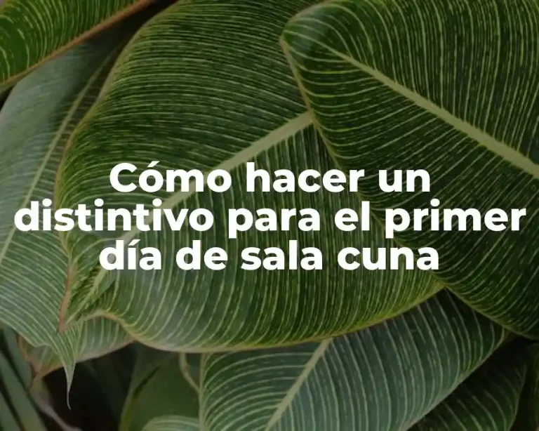 Cómo hacer un distintivo para el primer día de sala cuna