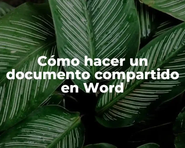 Cómo hacer un documento compartido en Word