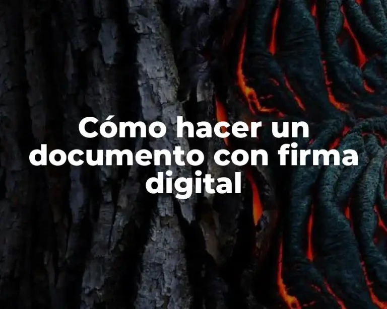 Cómo hacer un documento con firma digital