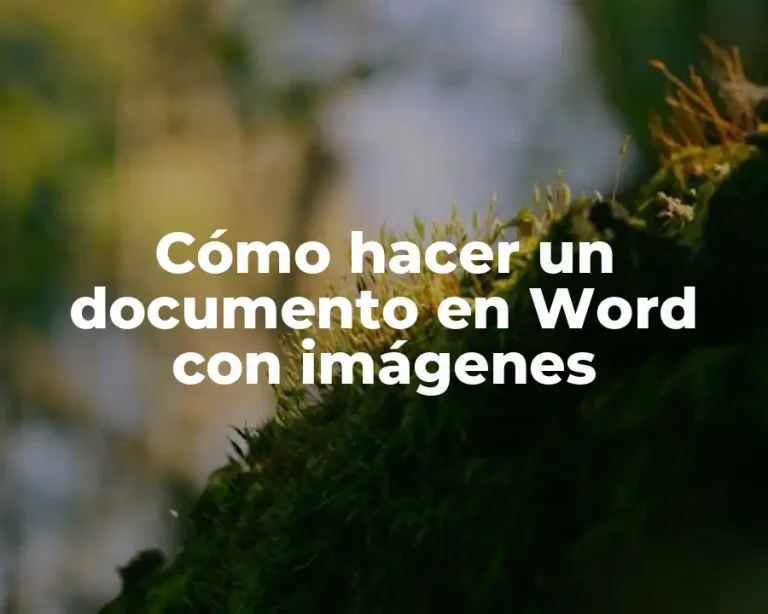 Cómo hacer un documento en Word con imágenes