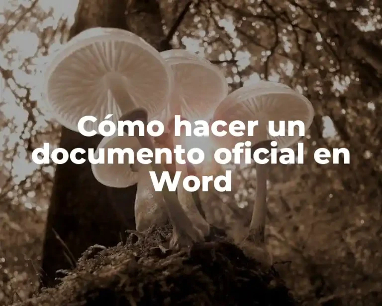 Cómo hacer un documento oficial en Word