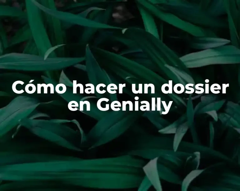 Cómo hacer un dossier en Genially