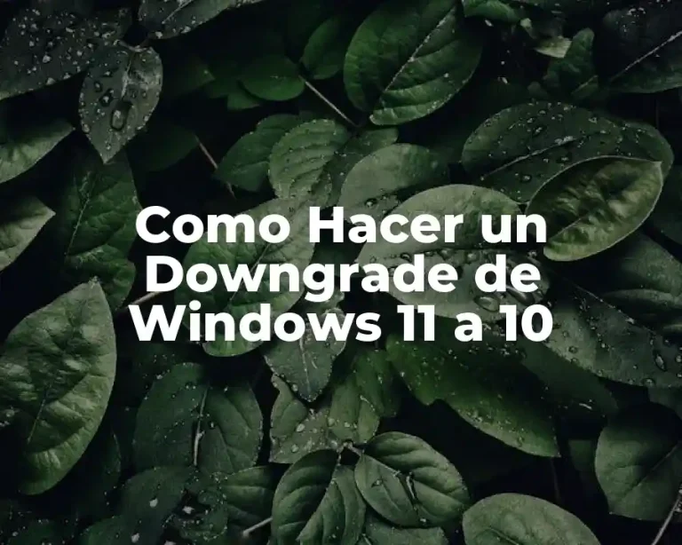 Como Hacer un Downgrade de Windows 11 a 10