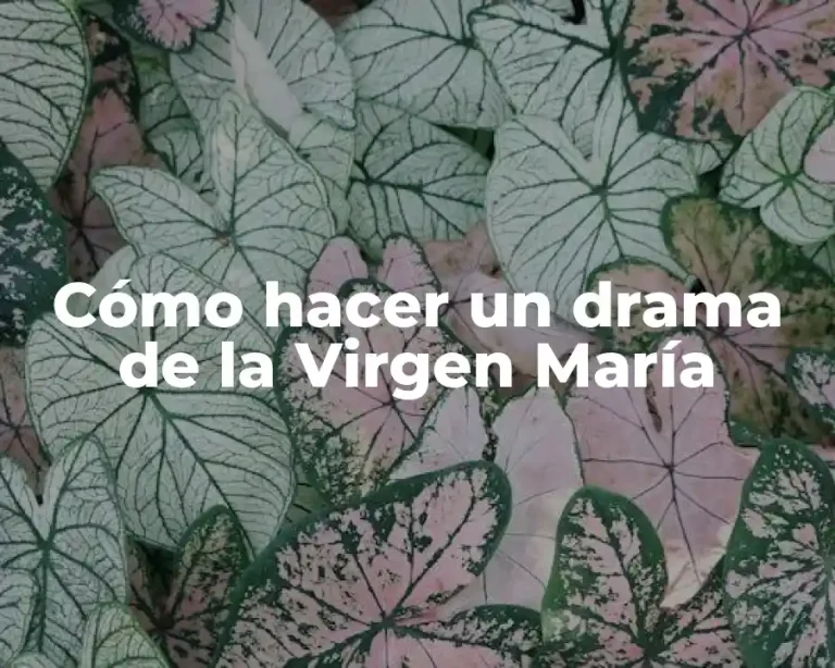 Cómo hacer un drama de la Virgen María
