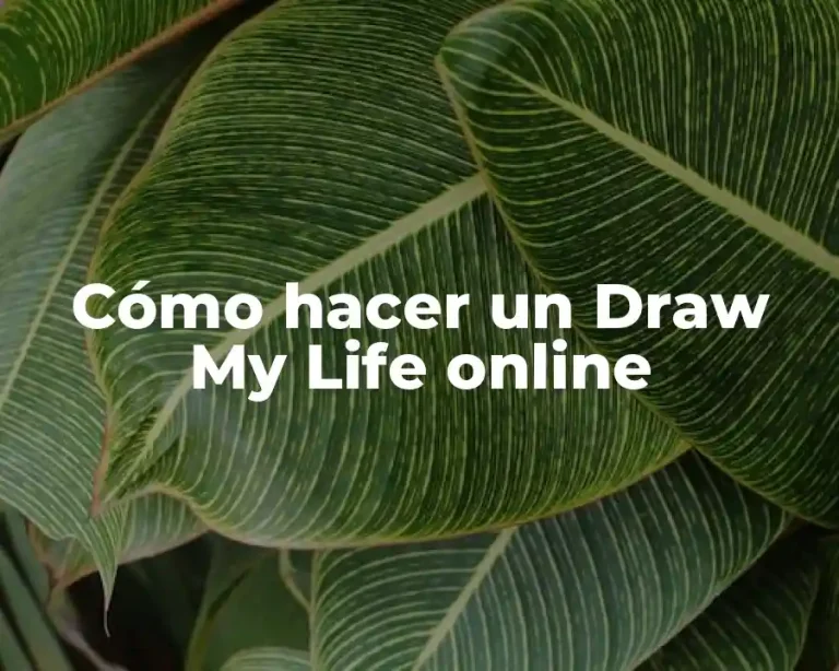 Cómo hacer un Draw My Life online