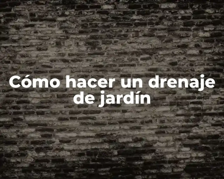 Cómo hacer un drenaje de jardín