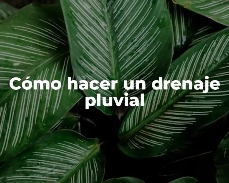 Cómo hacer un drenaje pluvial