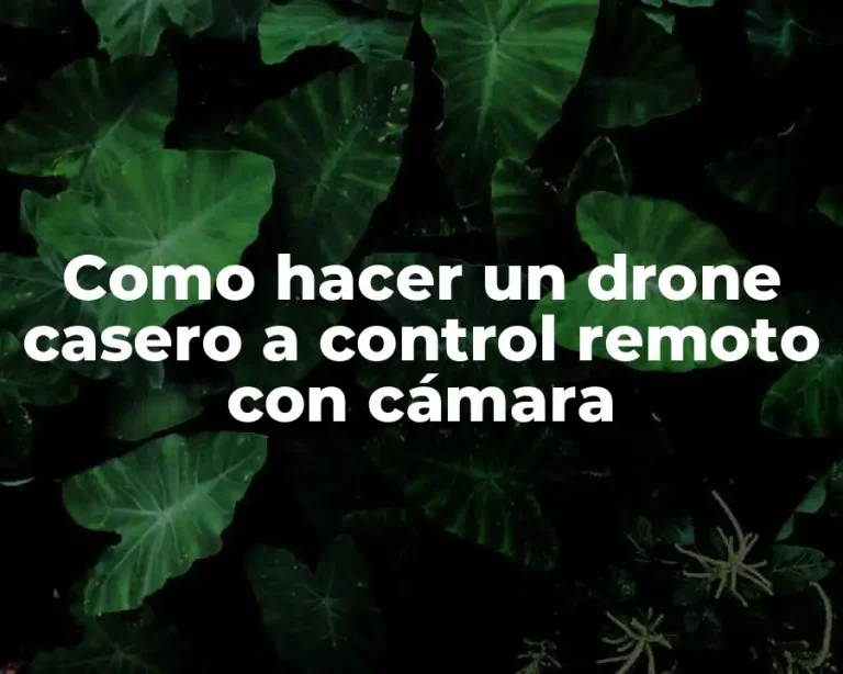 Como hacer un drone casero a control remoto con cámara