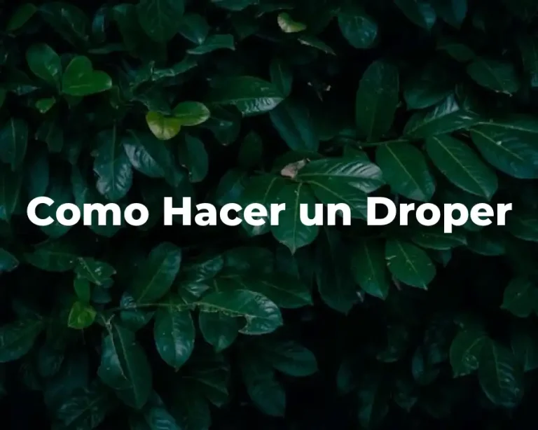 Como Hacer un Droper