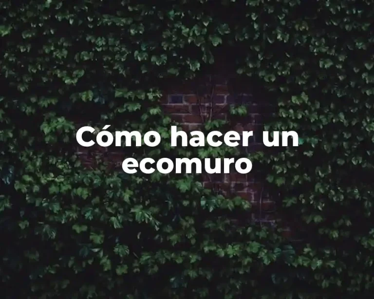 Cómo hacer un ecomuro