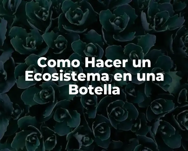 Como Hacer un Ecosistema en una Botella