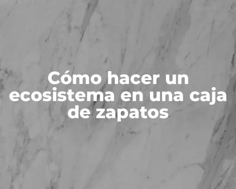 Cómo hacer un ecosistema en una caja de zapatos