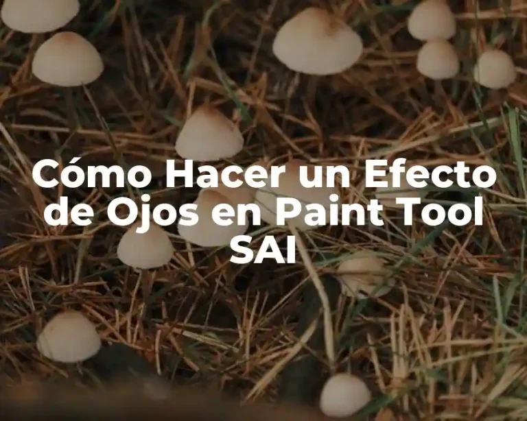 Cómo Hacer un Efecto de Ojos en Paint Tool SAI