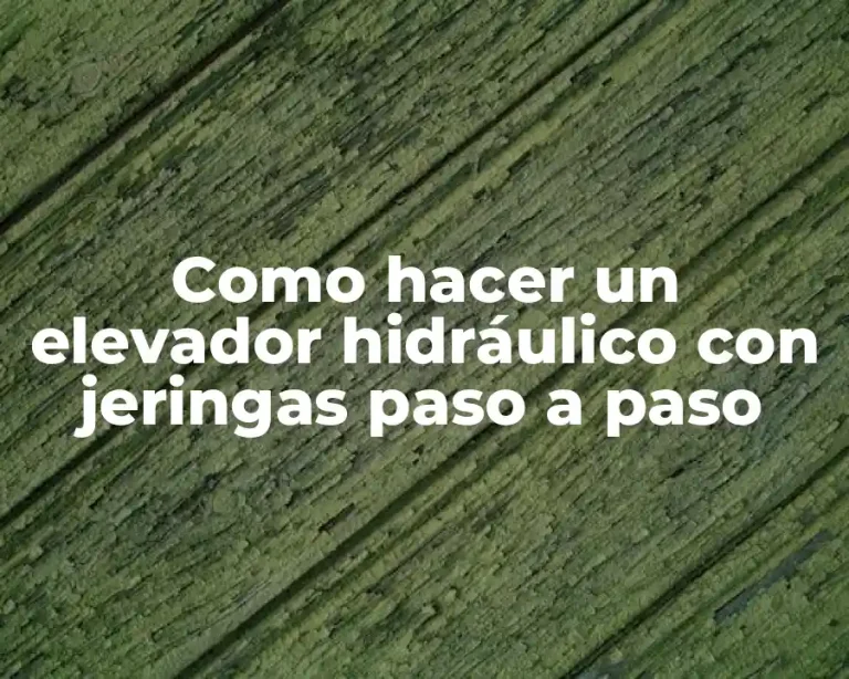 Como hacer un elevador hidráulico con jeringas paso a paso
